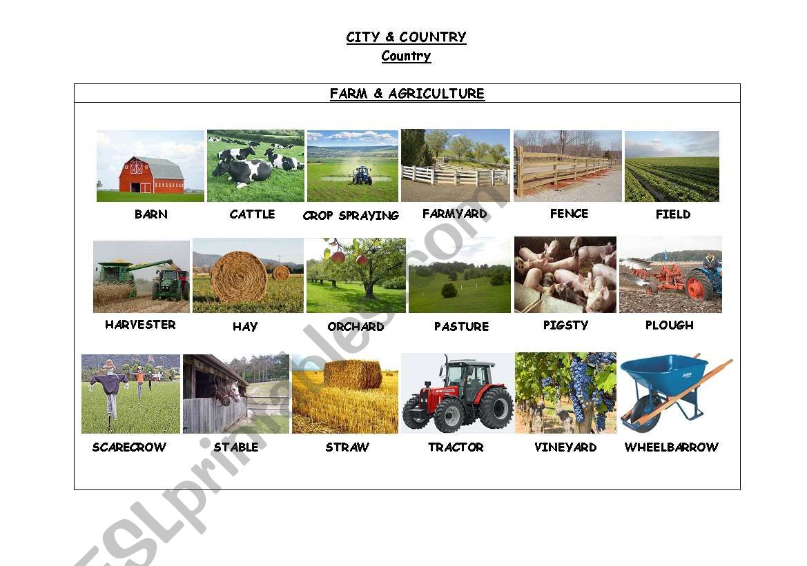 CITY & COUNTRY. FARM & AGRICULTURE