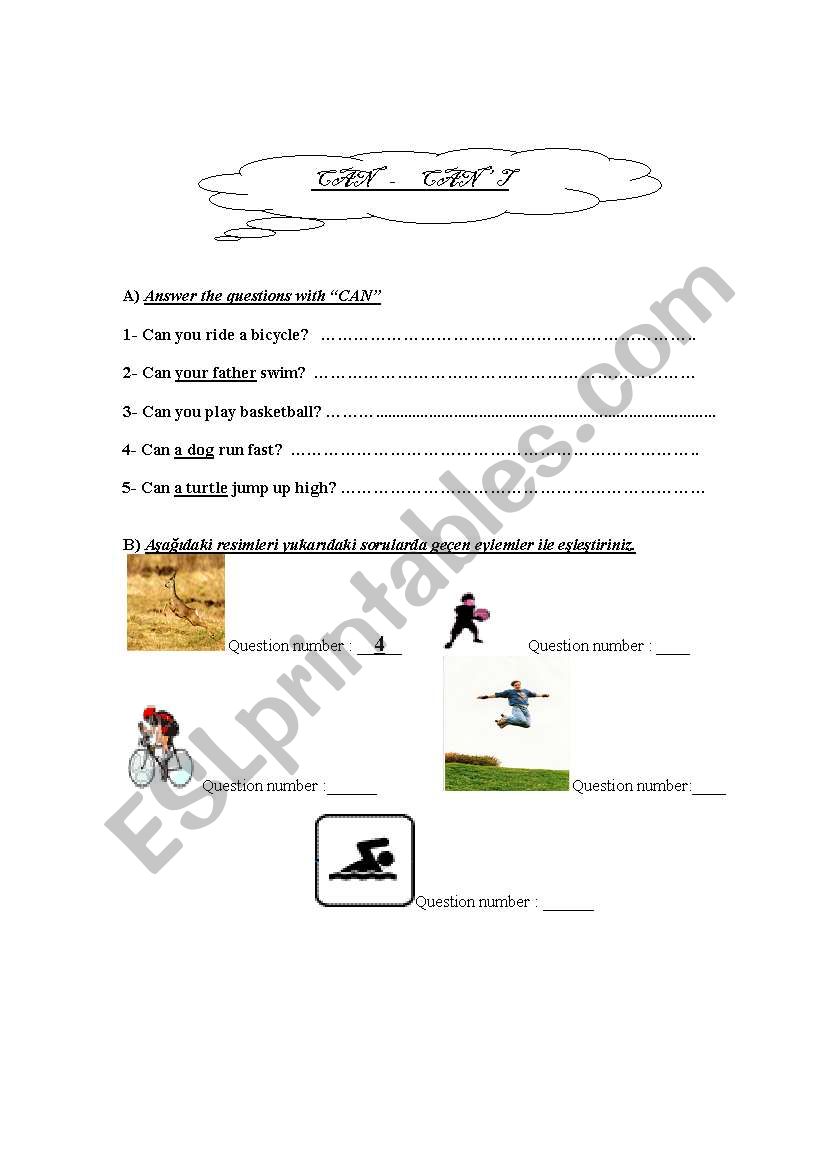 can worksheet