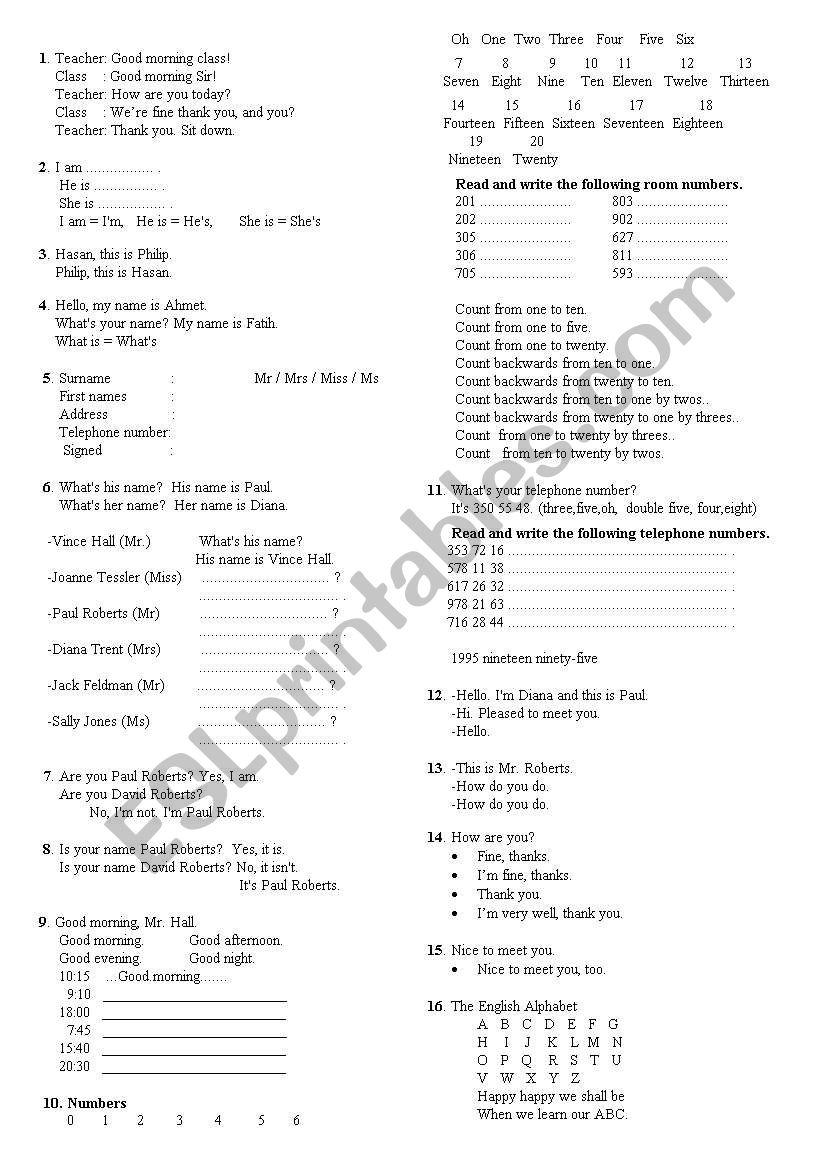 Beginner Worksheet worksheet