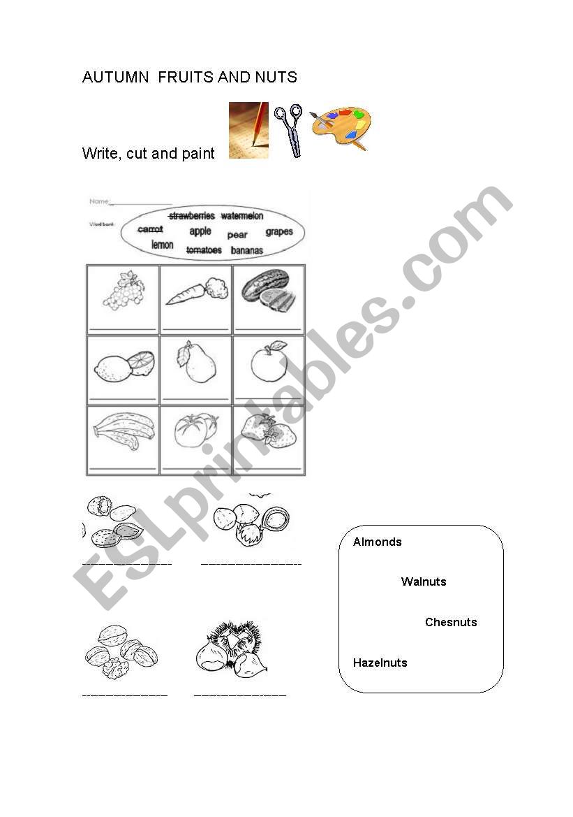 Autumn fruits and nuts worksheet