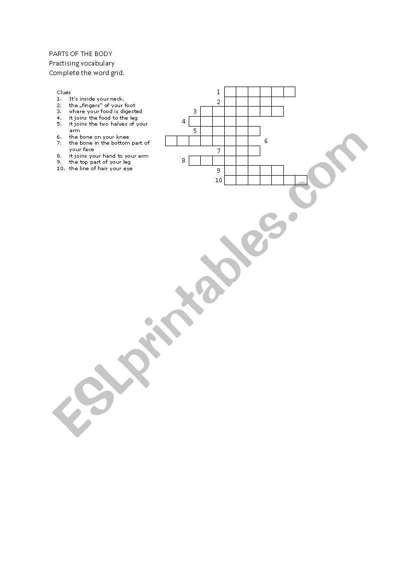 Parts of the body - crossword worksheet