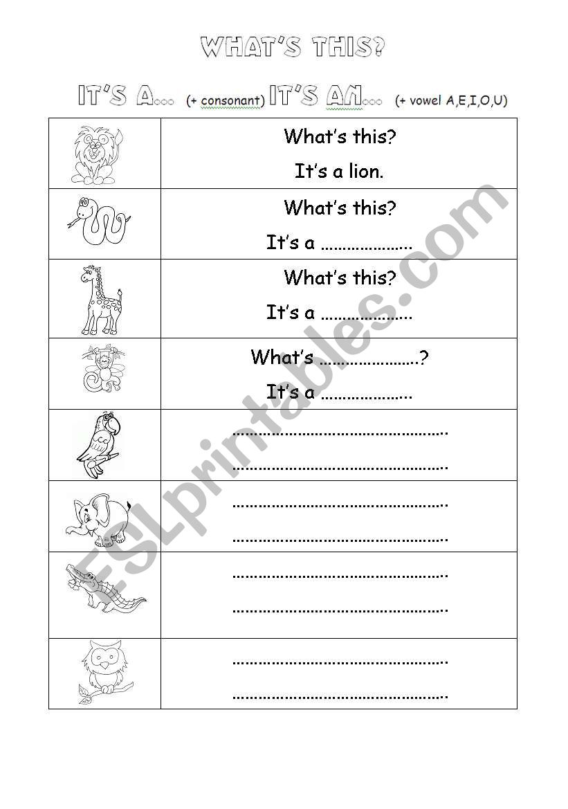 WHATS THIS? worksheet