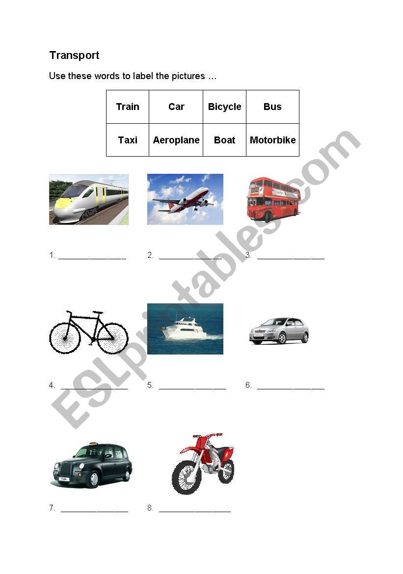 Transport worksheet