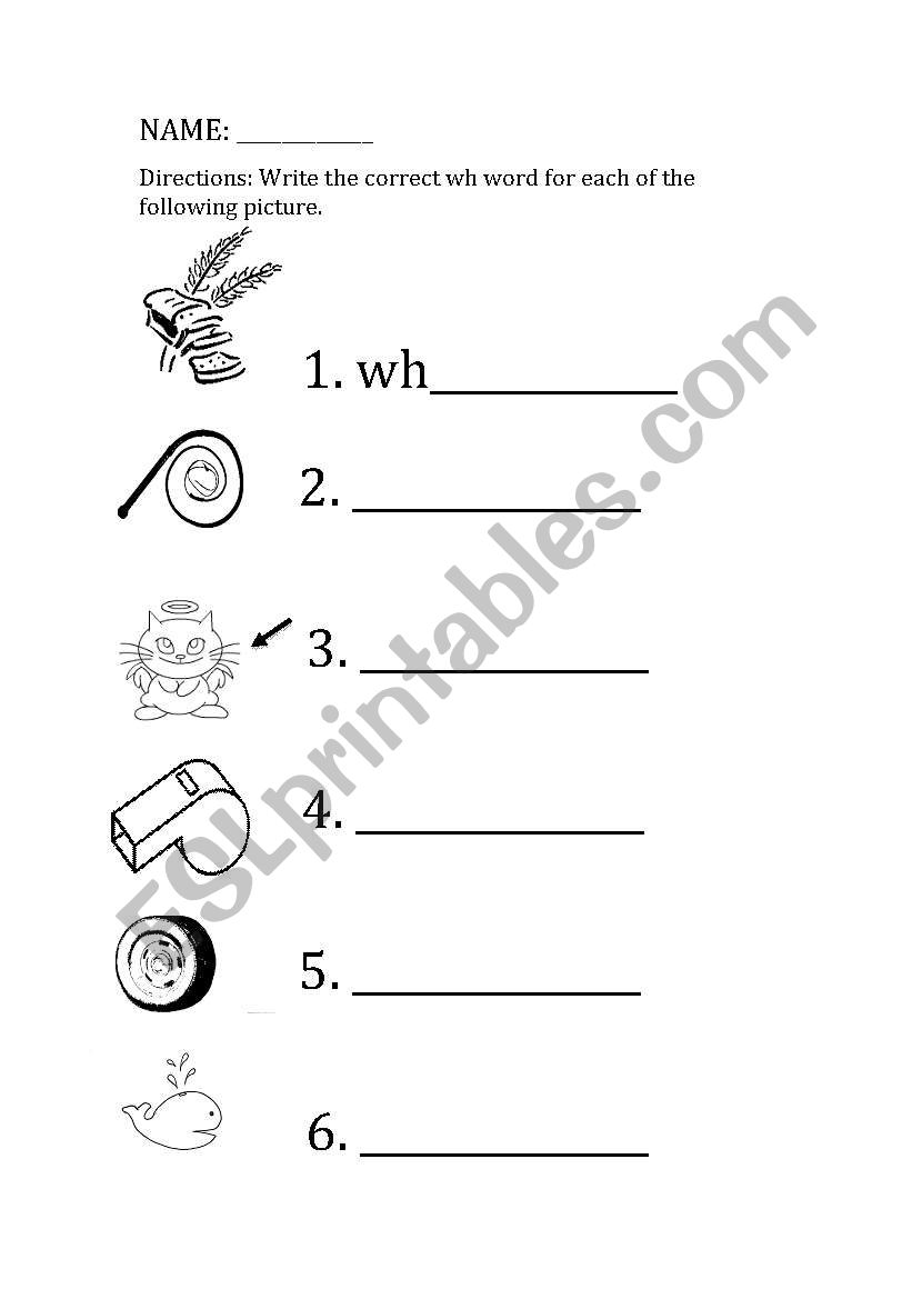 wh words worksheet