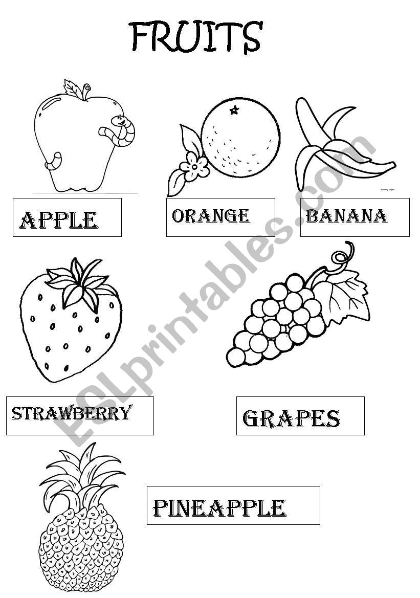 FRUITS worksheet