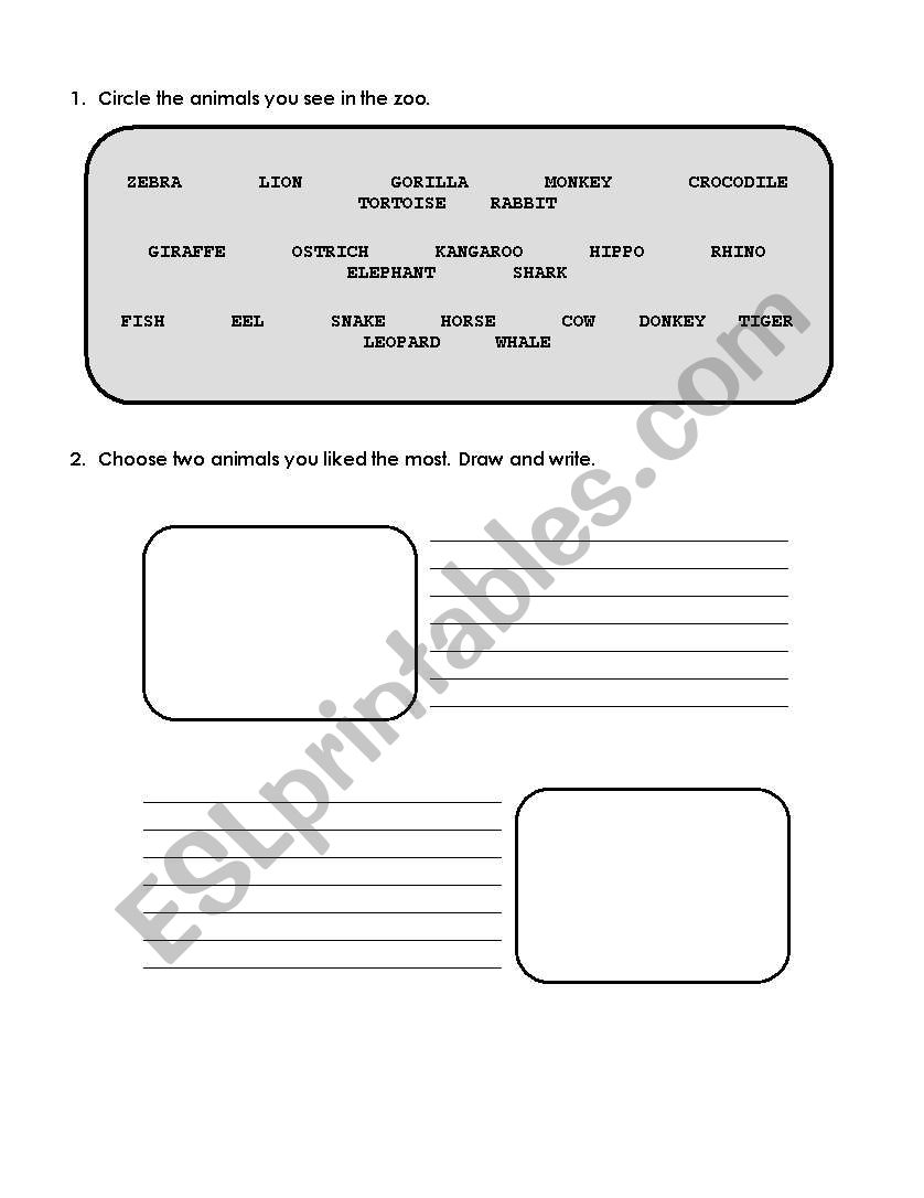 Zoo worksheet