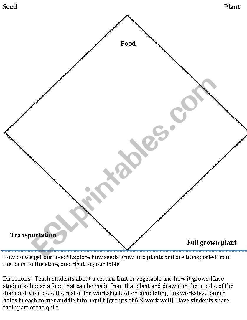 From seed to dinner worksheet