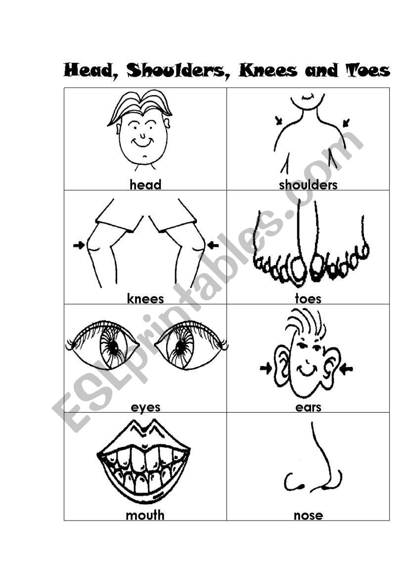 body parts - ESL worksheet by Kamilak220