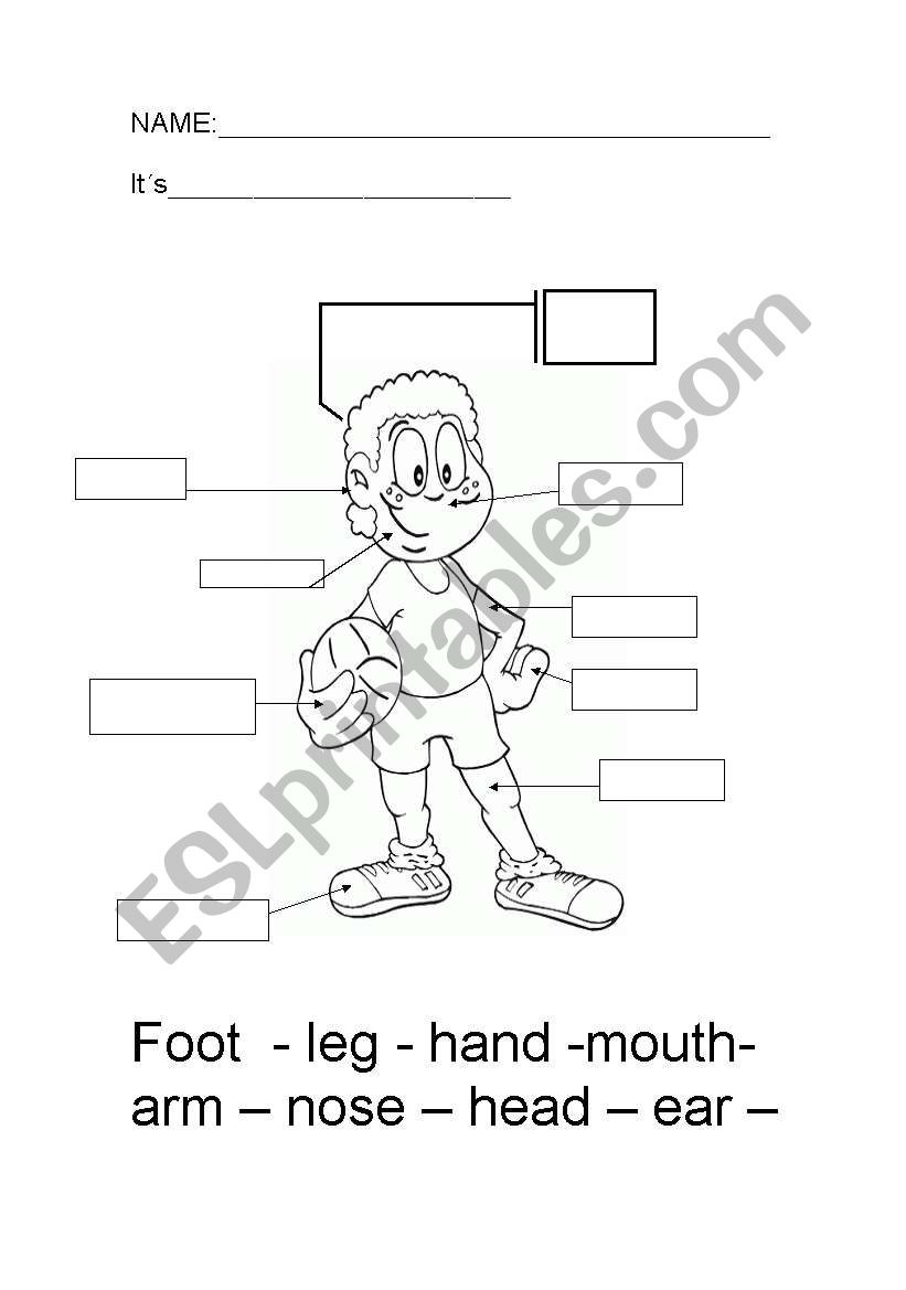 BODY PARTS worksheet