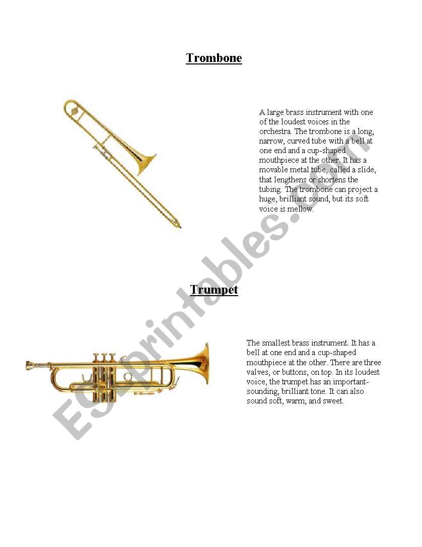 Percussion Instruments worksheet