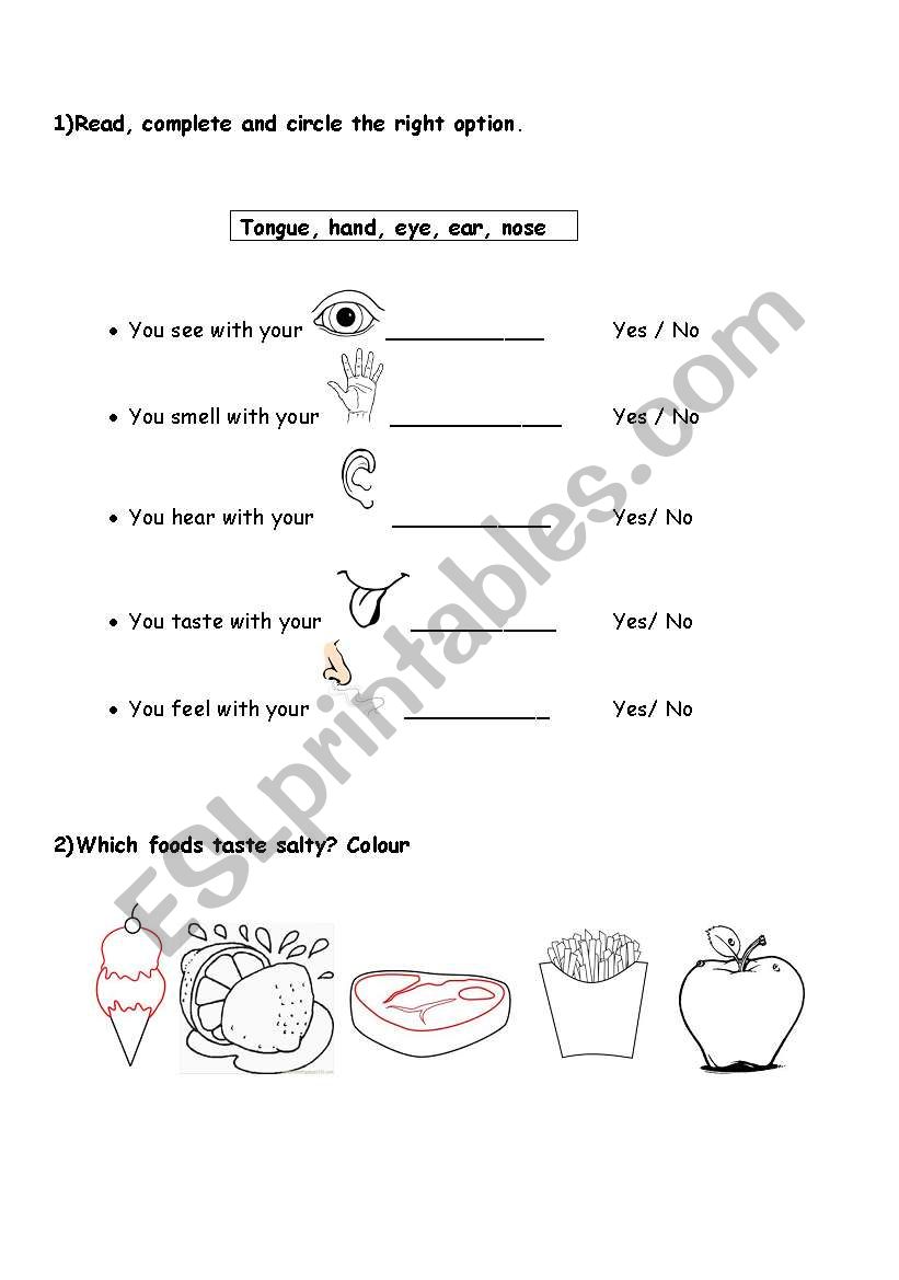 Senses worksheet