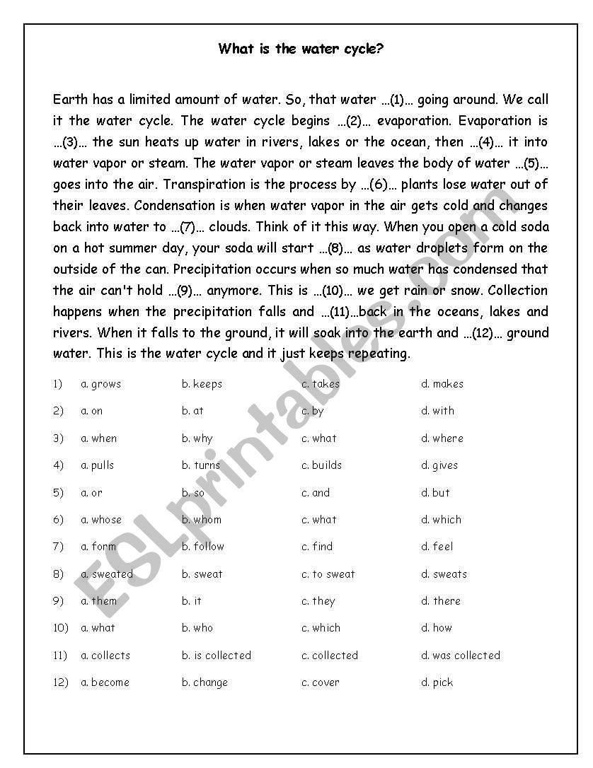 What is the water cycle? worksheet