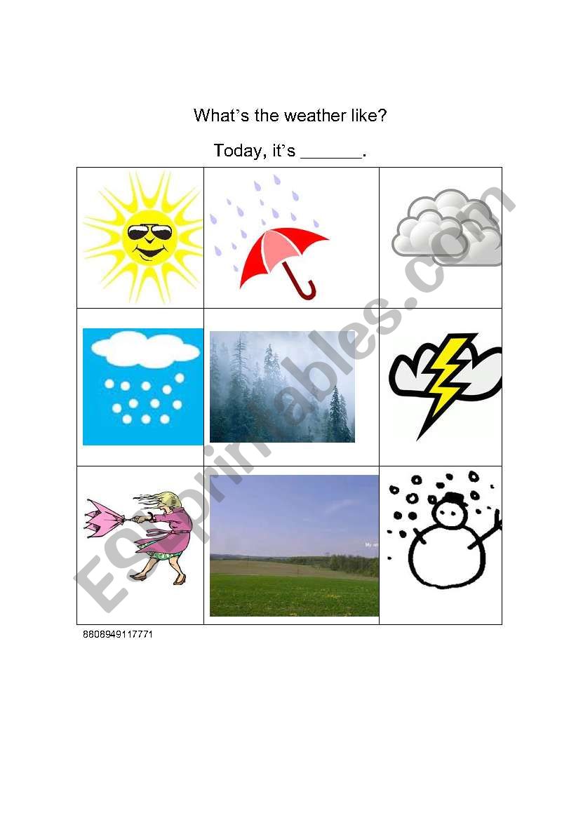 English worksheets: Weather Survey