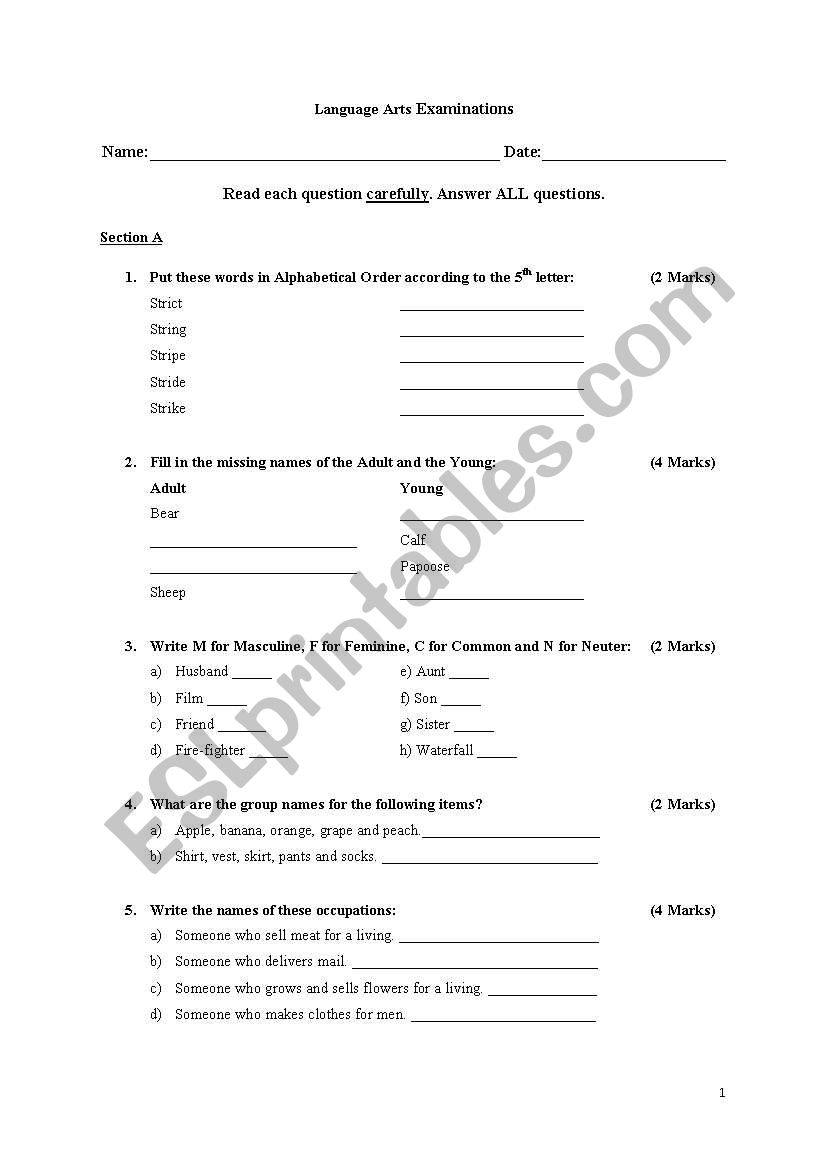 Language Arts Test worksheet