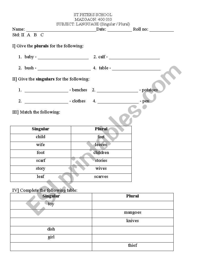 Singular/ Plural worksheet