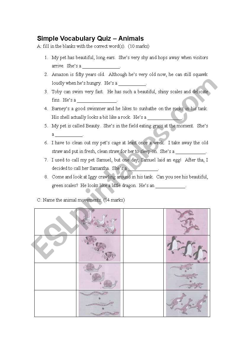 Simple Vocabulary Quiz on Animals