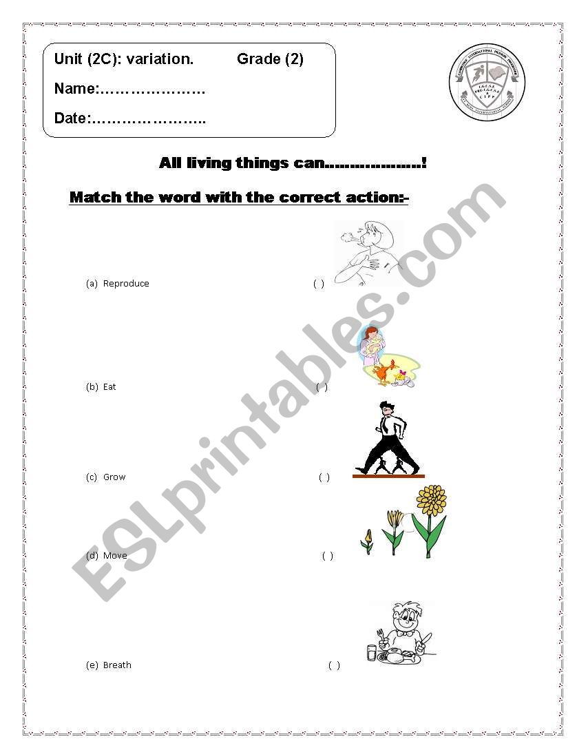 living things worksheet