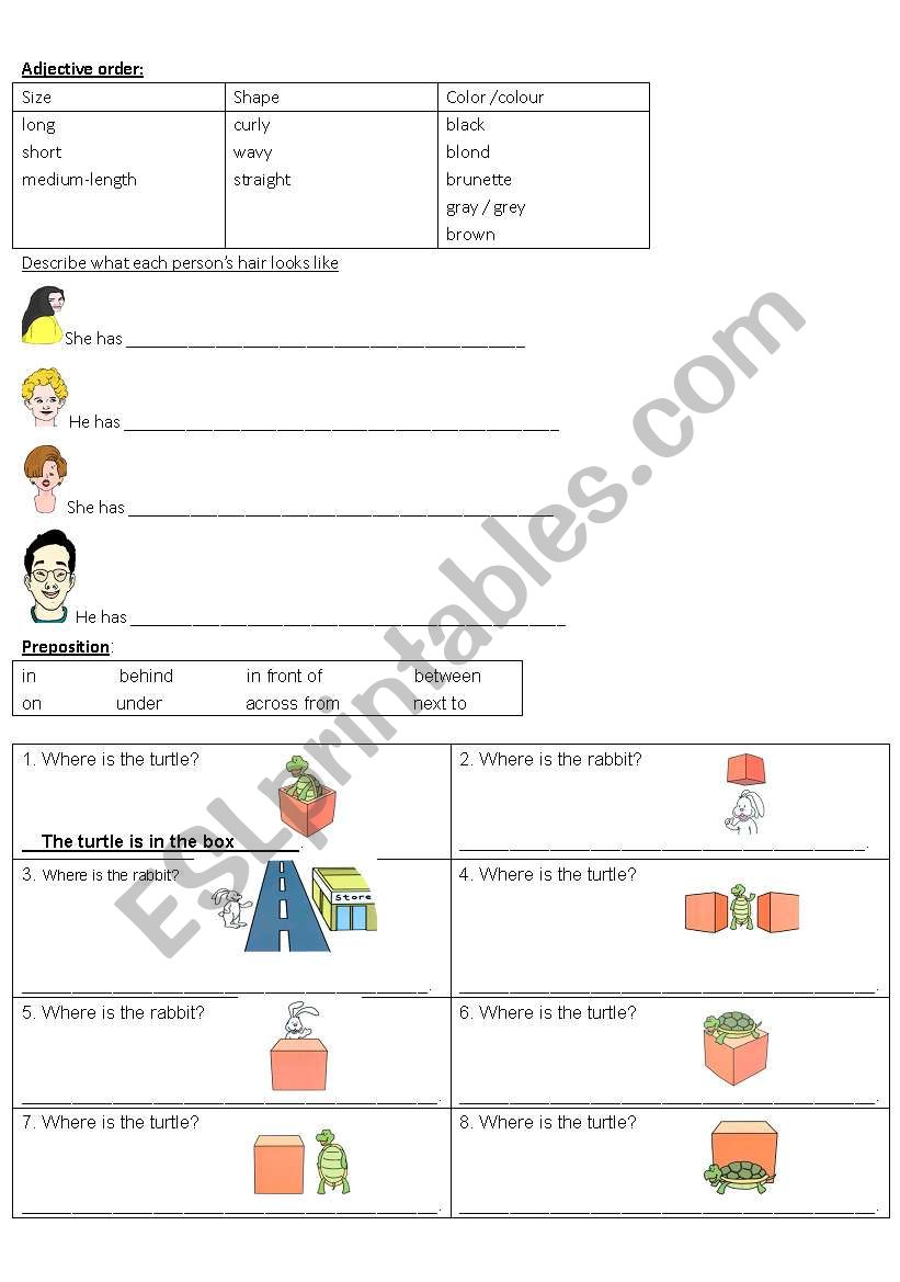 Description and preposition worksheet