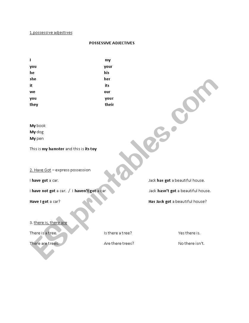 possessive adjectives / to have got theory and exercises