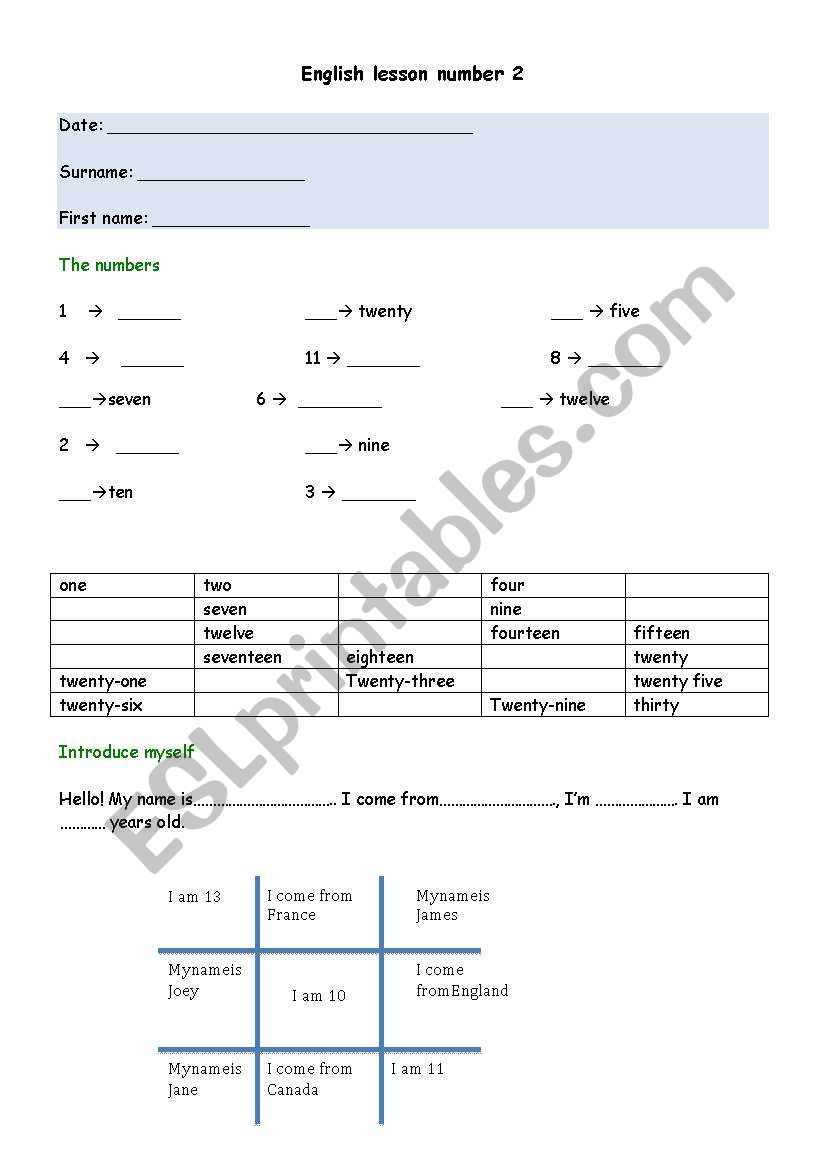 Basic Vocabulary worksheet