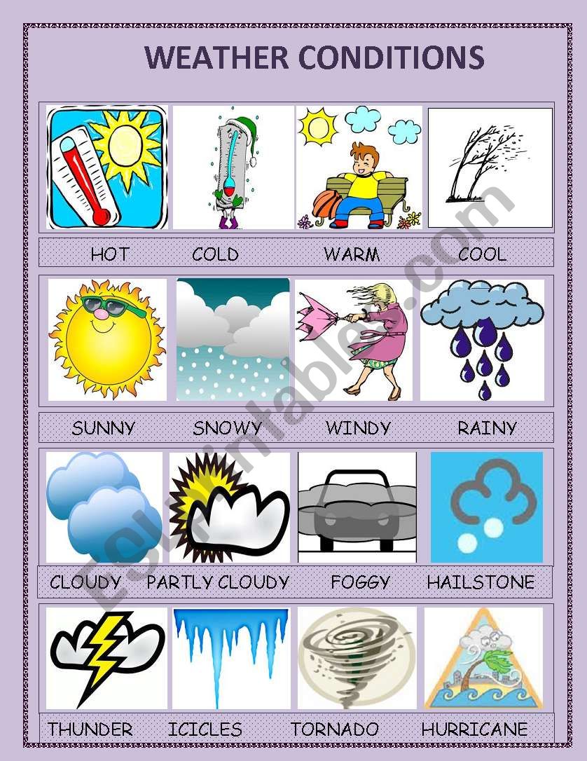 Weather Conditions ESL Worksheet By Ipek83