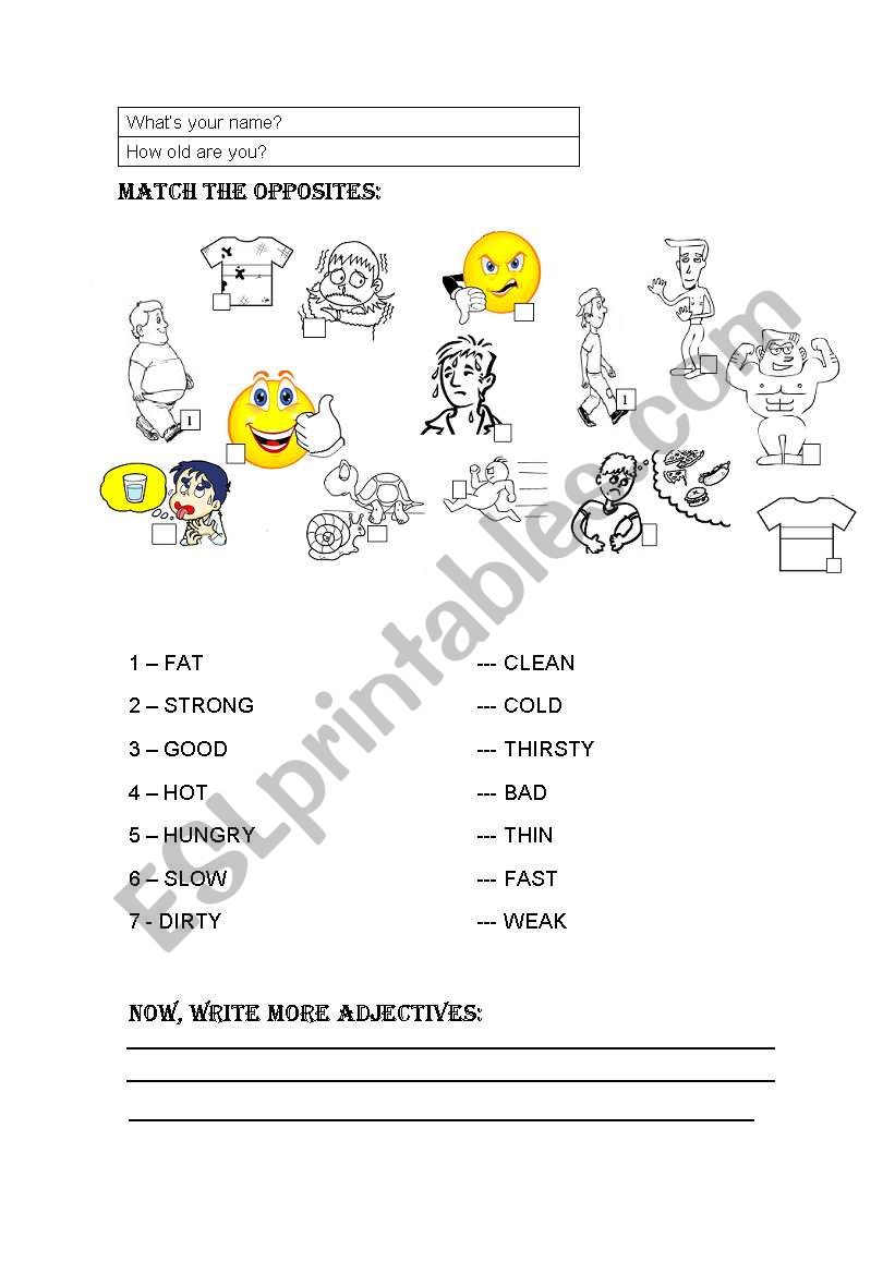 Match the opposites worksheet