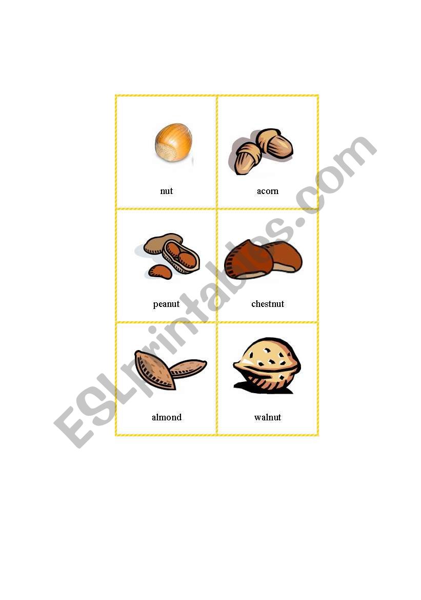 Picture Dictionary - Nut worksheet