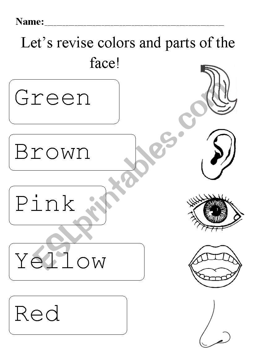 revise parts of the face worksheet