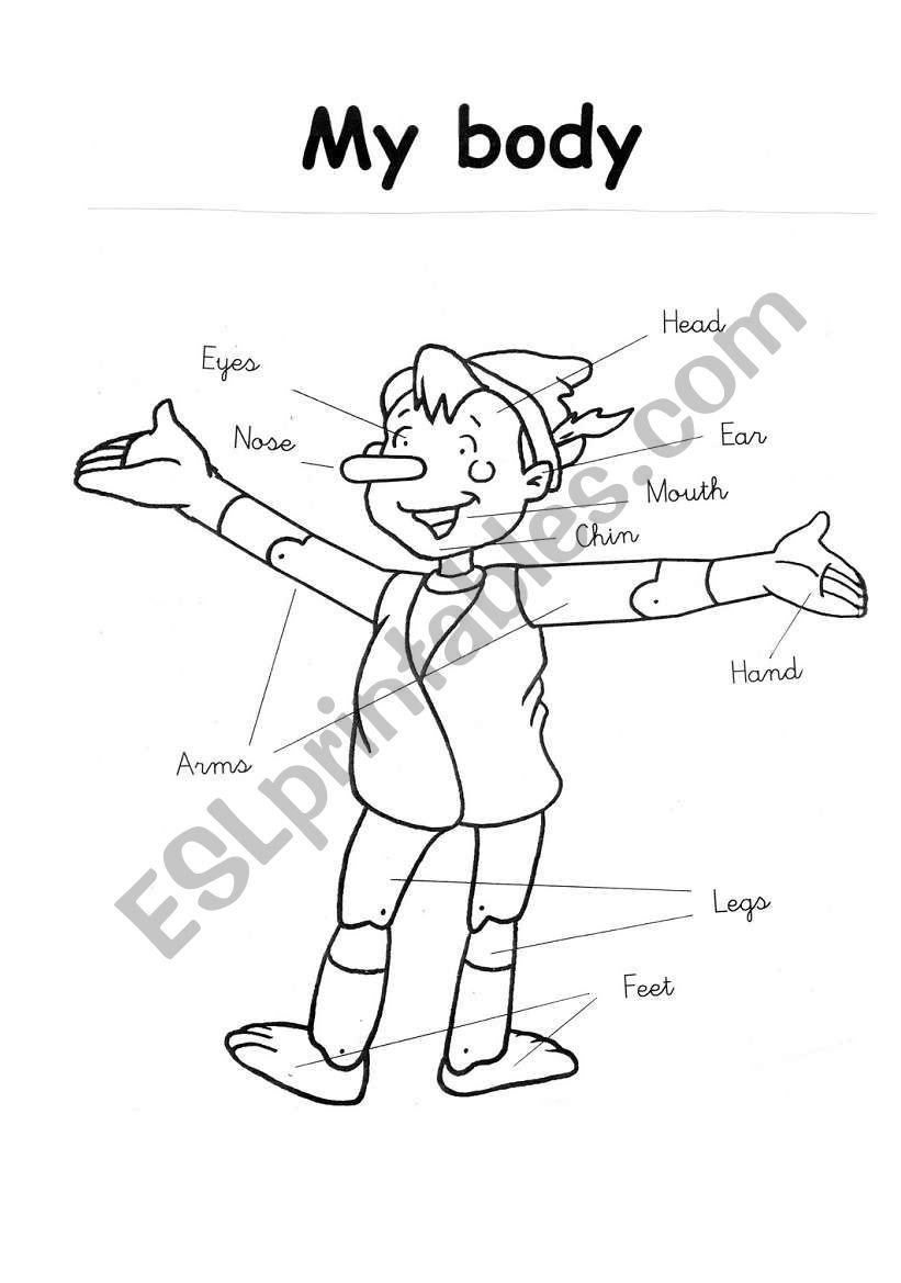 Pinocchio´s body parts - ESL worksheet by byronche