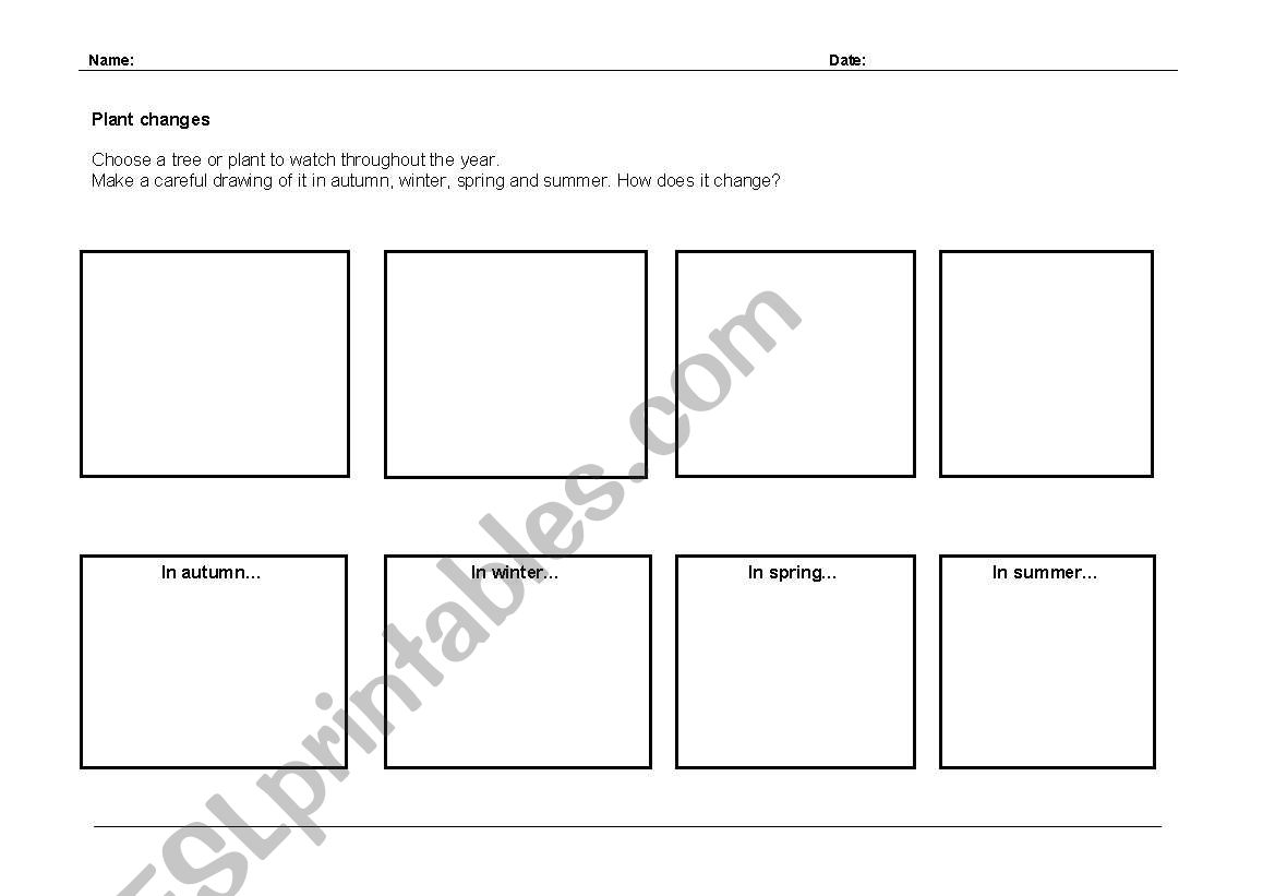 seasons worksheet