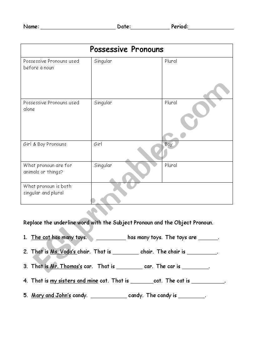 Possessive Pronoun Organizer worksheet