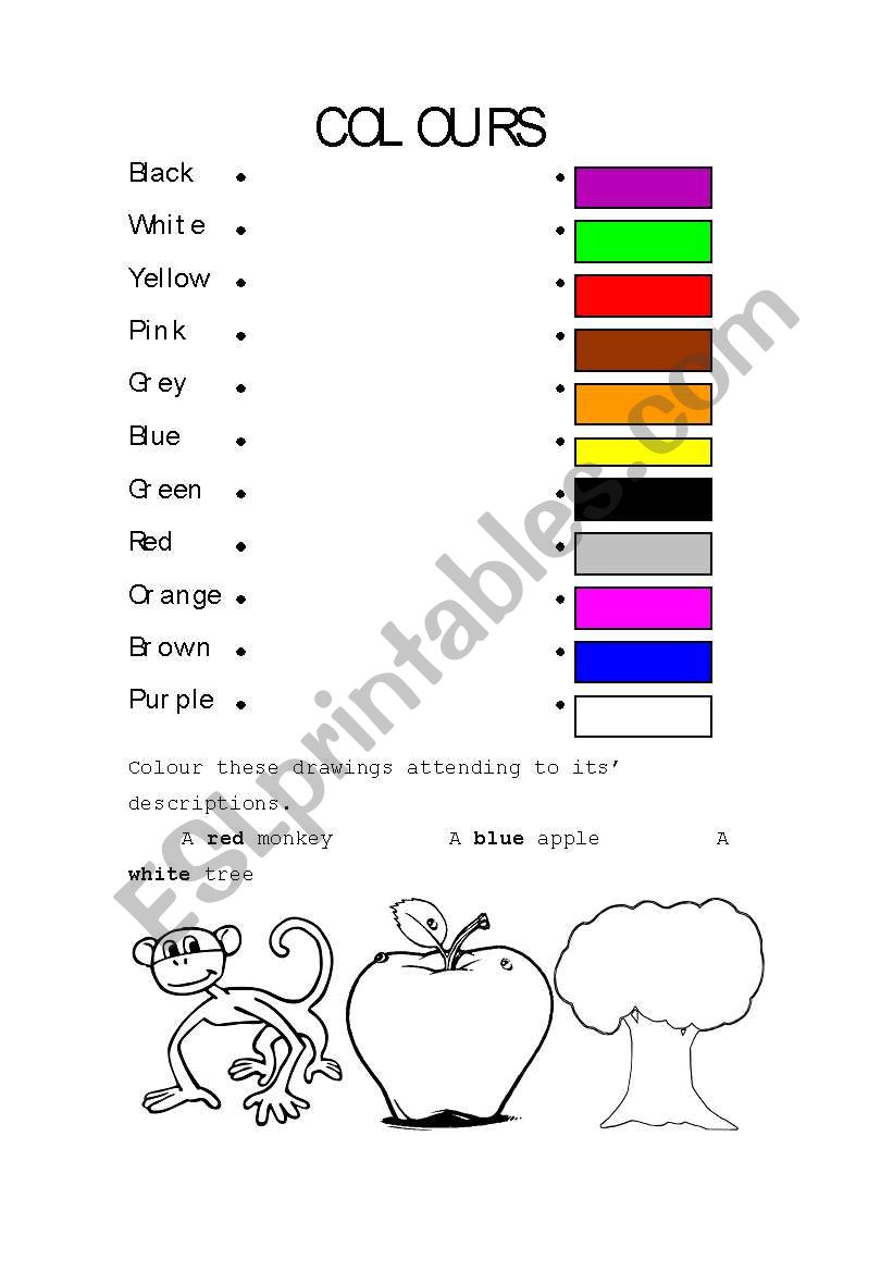 Link the colour to its name worksheet