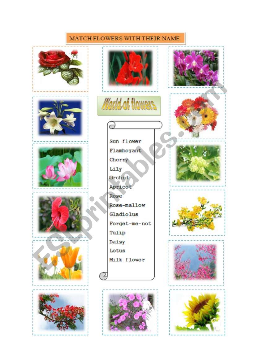 World of flowers worksheet