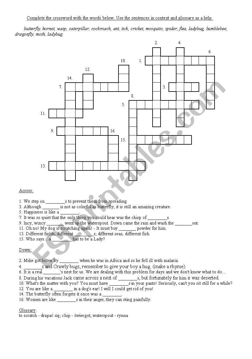INSECTS - crossword worksheet
