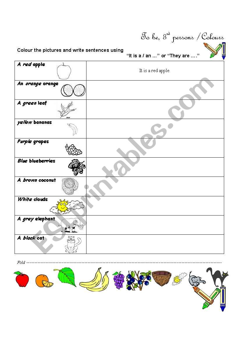 singular-plural worksheet