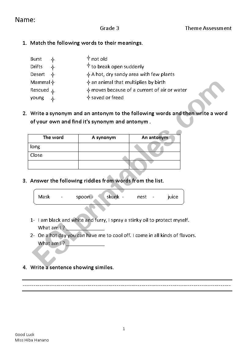 theme test worksheet