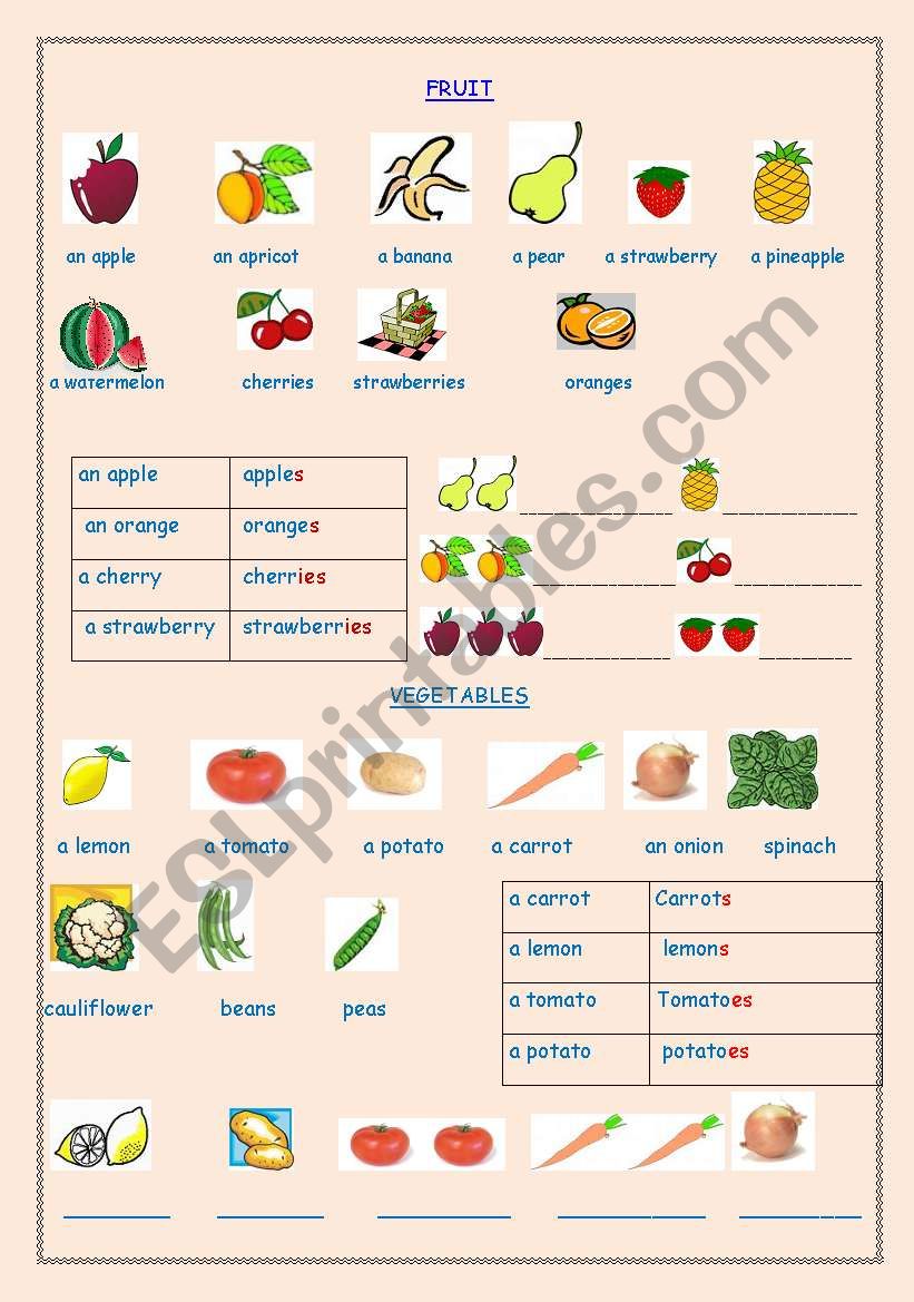 food worksheet