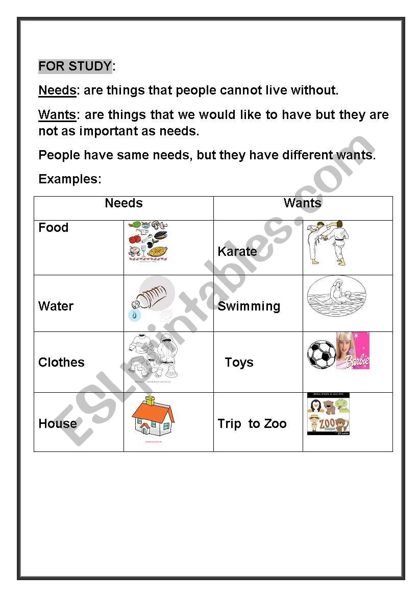 needs and want worksheet