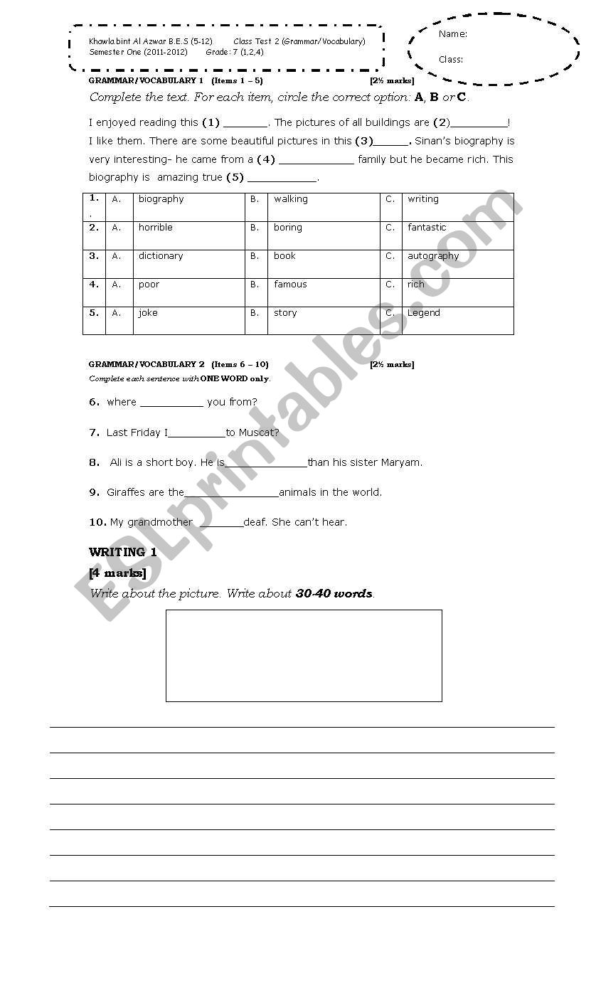 Vocabulary& Grammar  worksheet