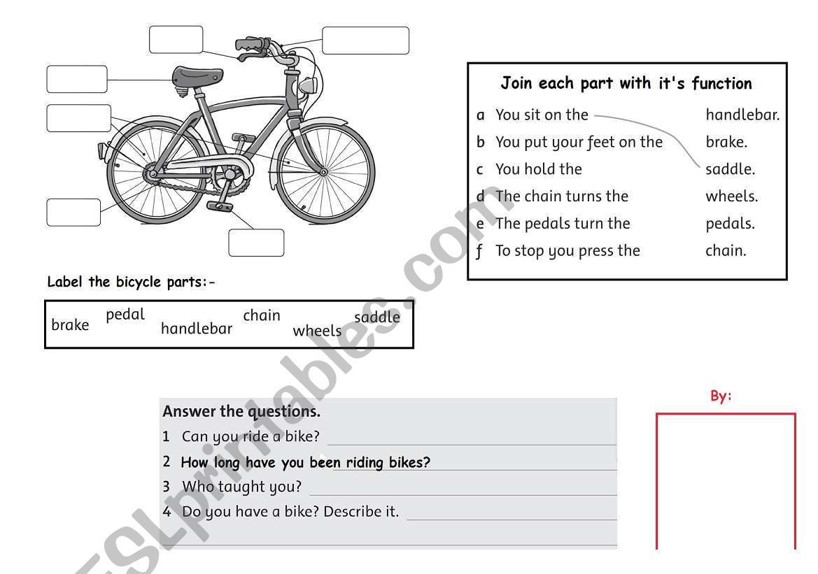 Why Can t Bicycles Stand Up By Themselves Worksheet Answers Printable