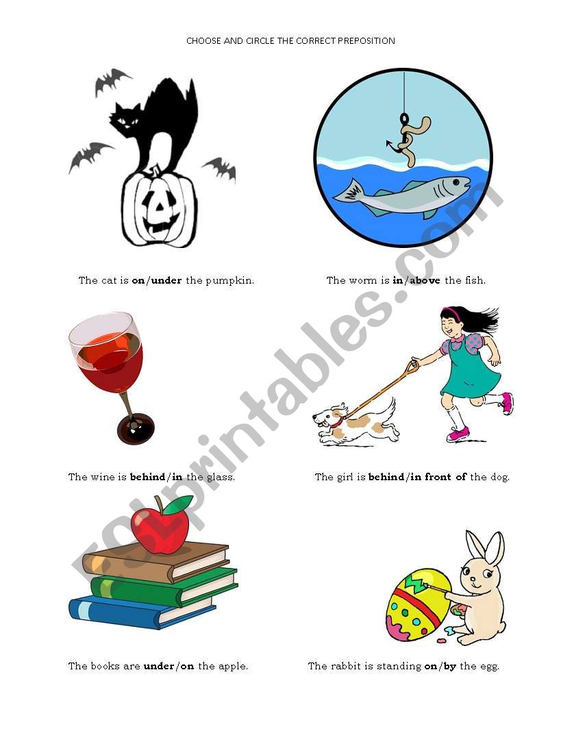 Prepositions worksheet