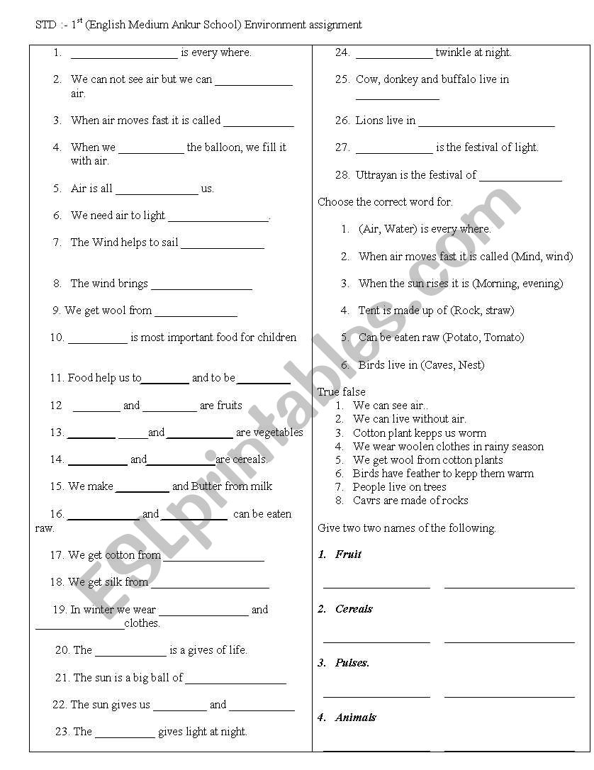 Env basic worksheet worksheet