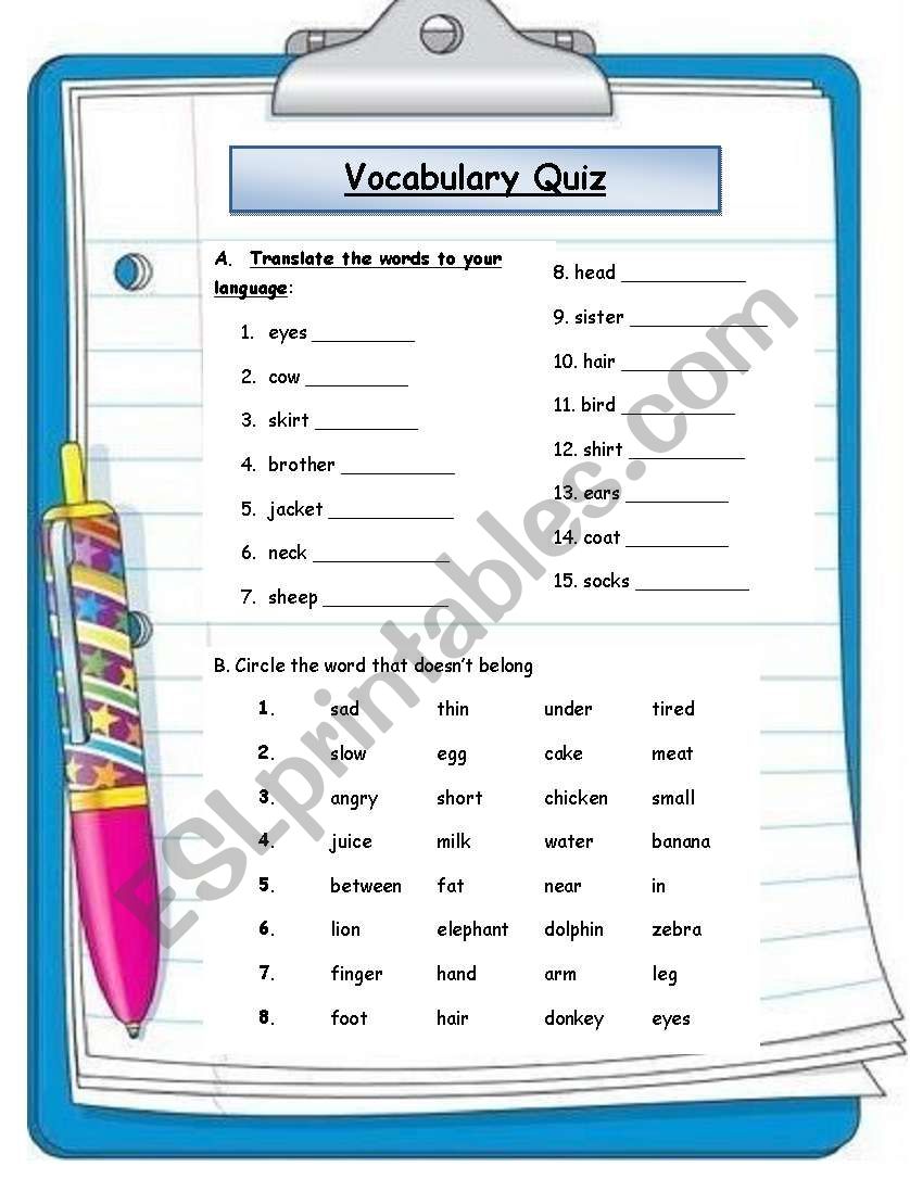 Vocabulary Quiz