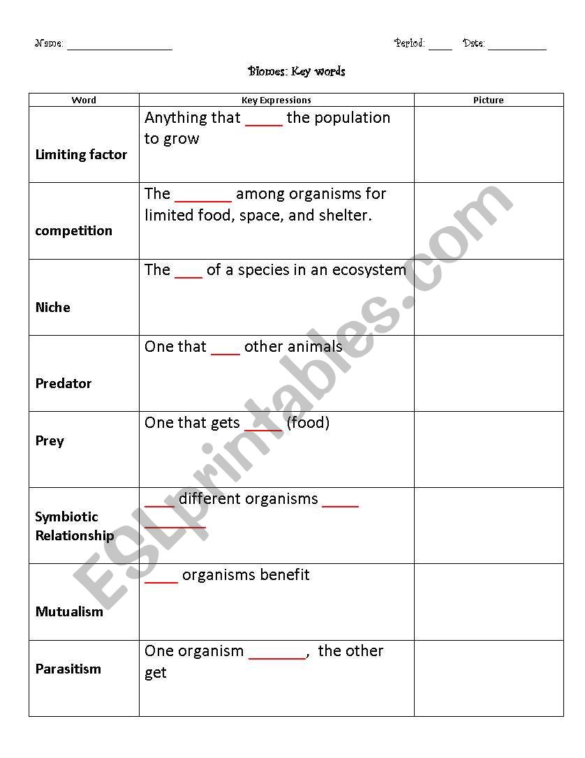 Biome Key Words worksheet