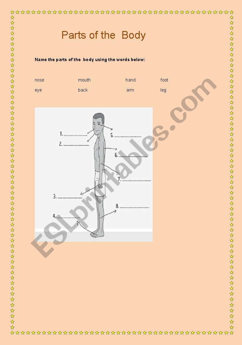 Parts of the body worksheet