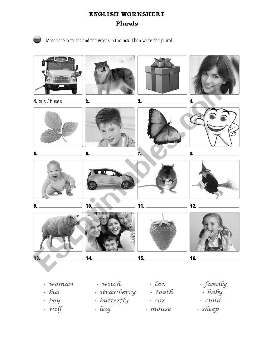 Plurals worksheet