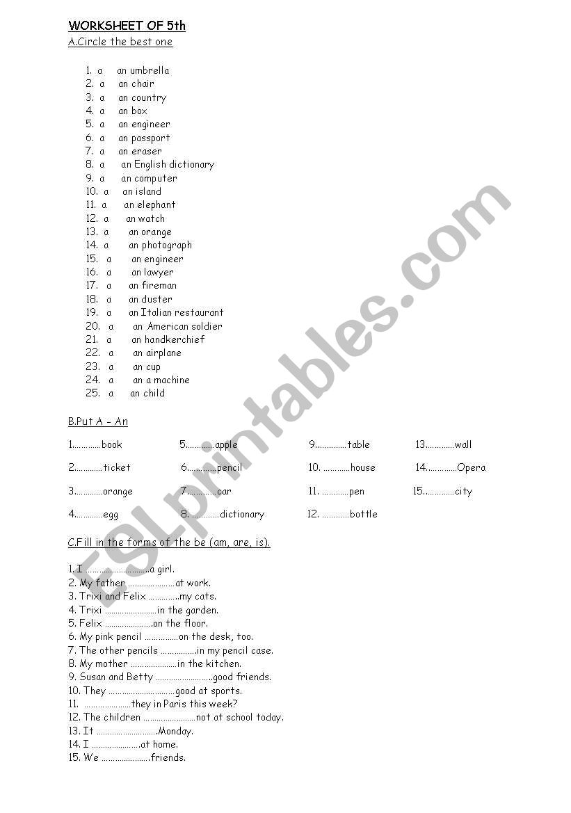 a/an worksheet