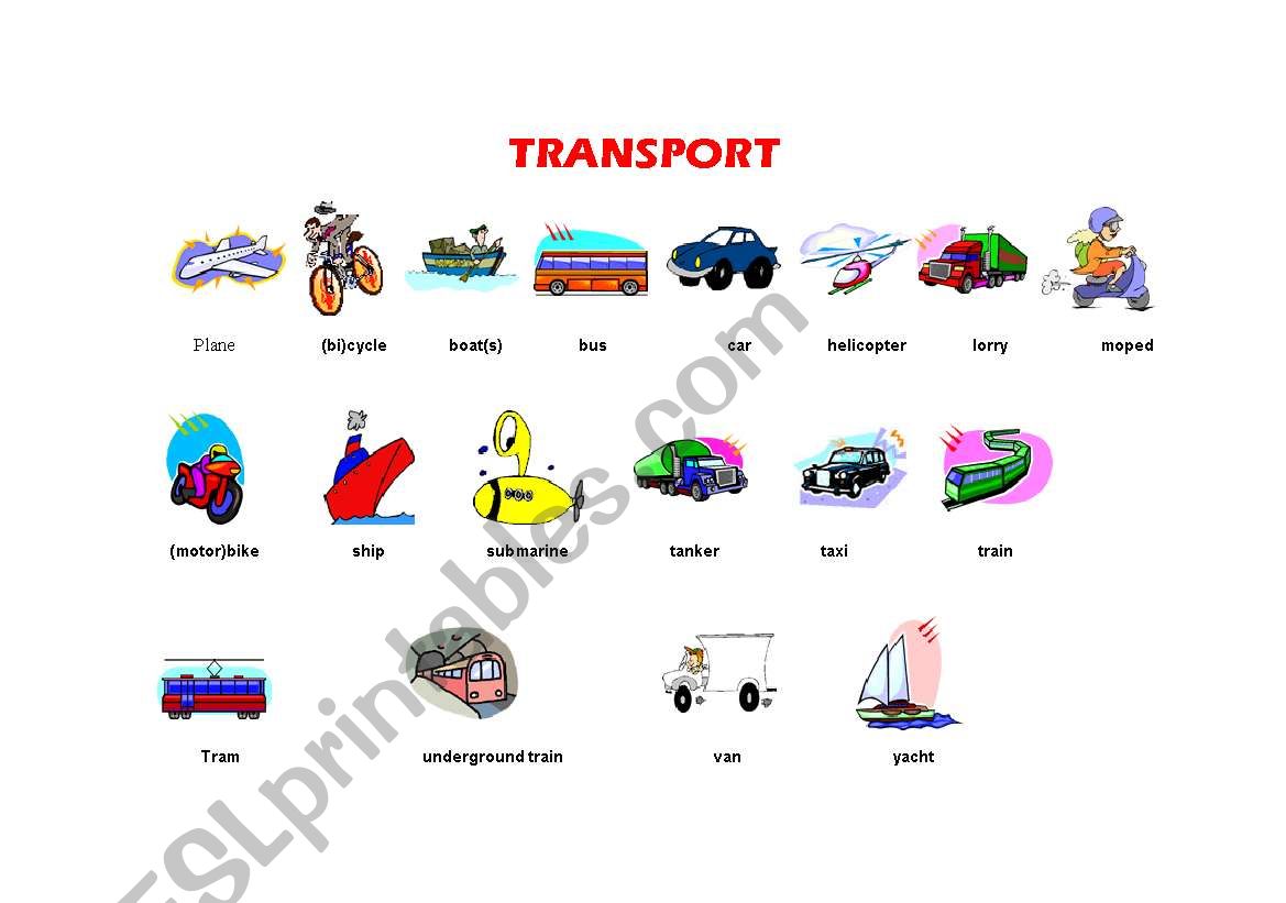 transport worksheet