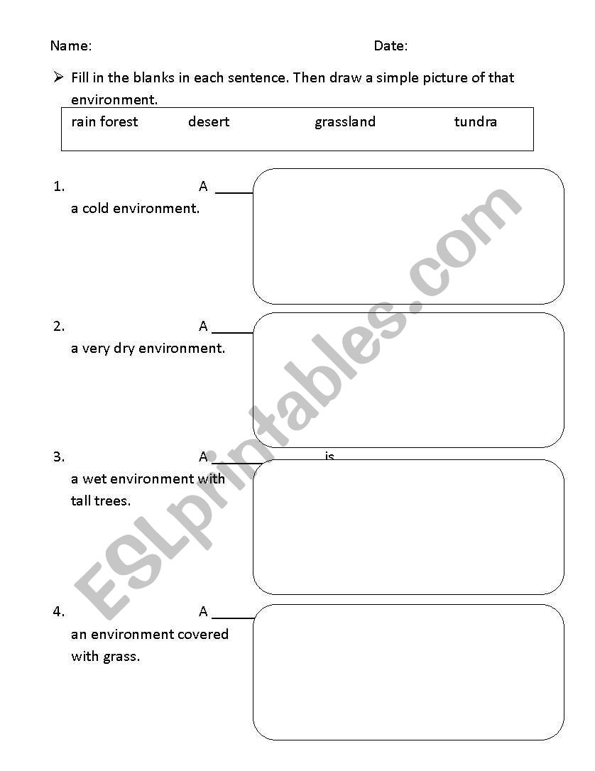 environment worksheet