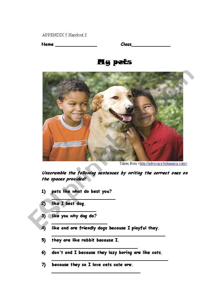 my pets worksheet